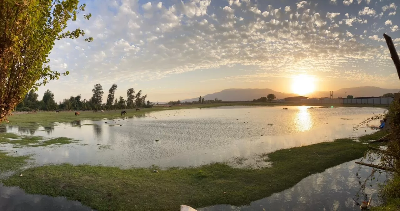 humedal-de-quilicura