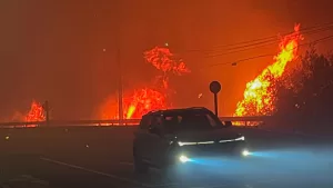 incendios forestales