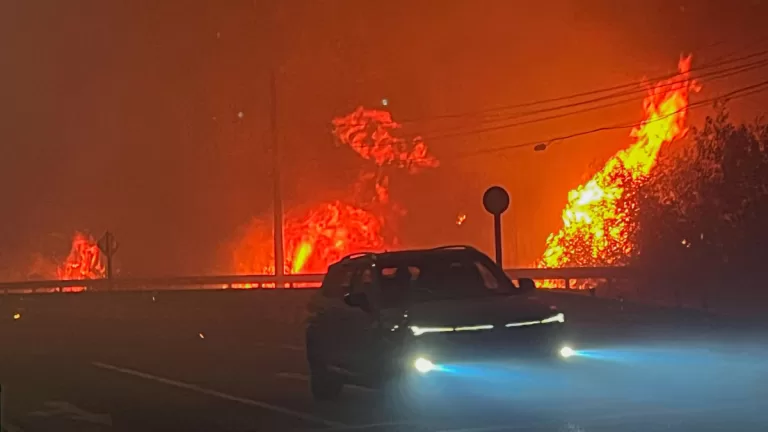 incendios forestales