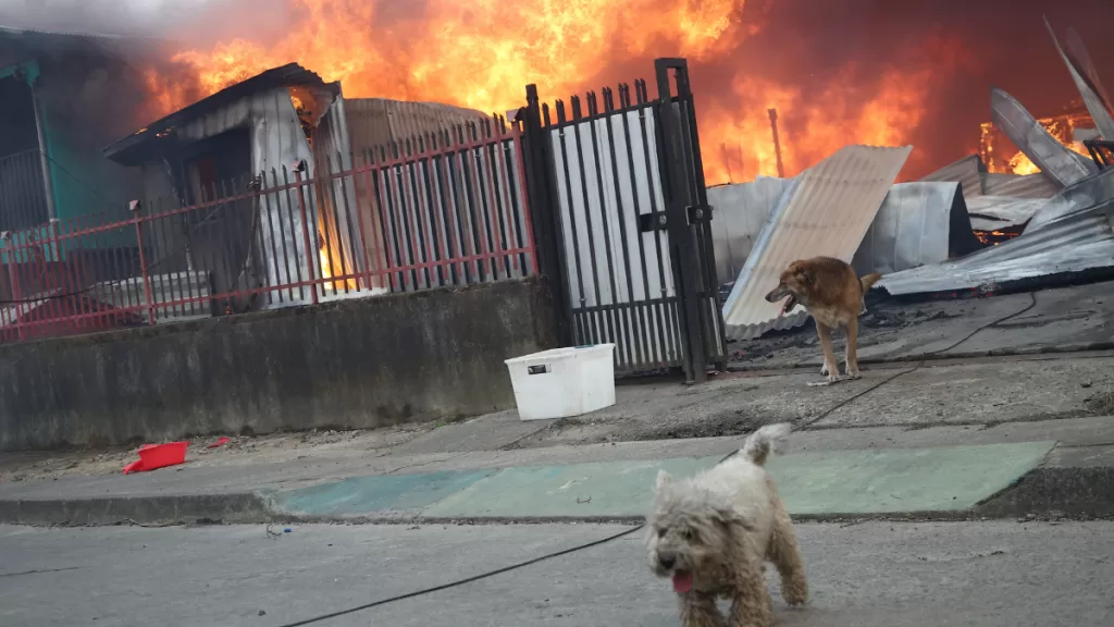 incendios forestales