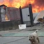 incendios forestales