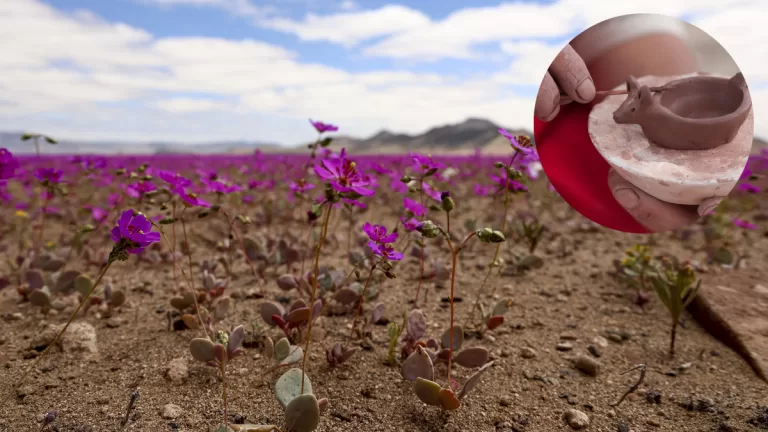 Atacama recibirá más de $917 millones en Fondos de Cultura
