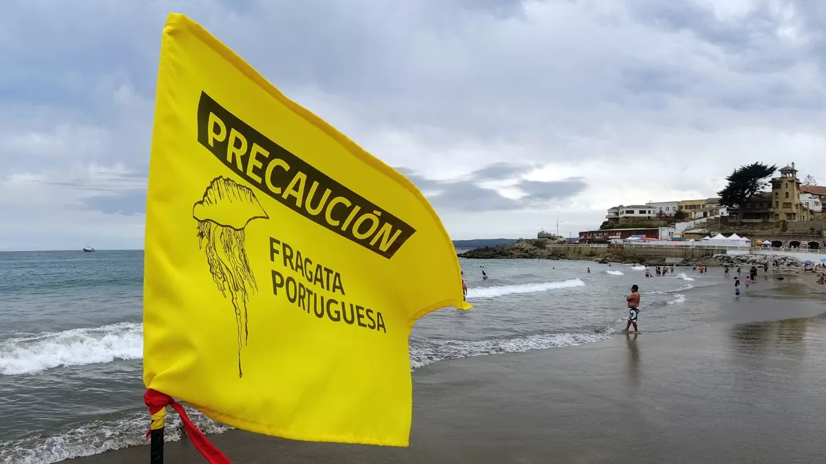 Bandera de precaución