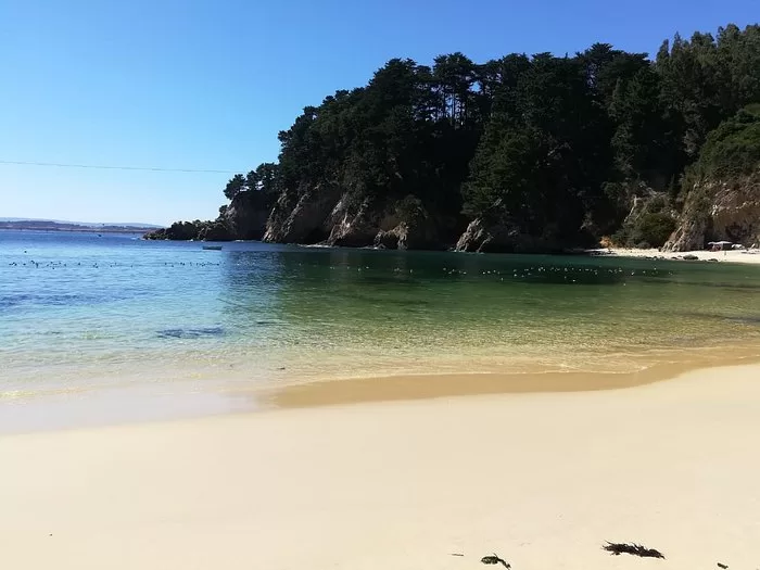 Playa Ramutcho Trip Advisor