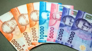 Subsidio Empleo Joven