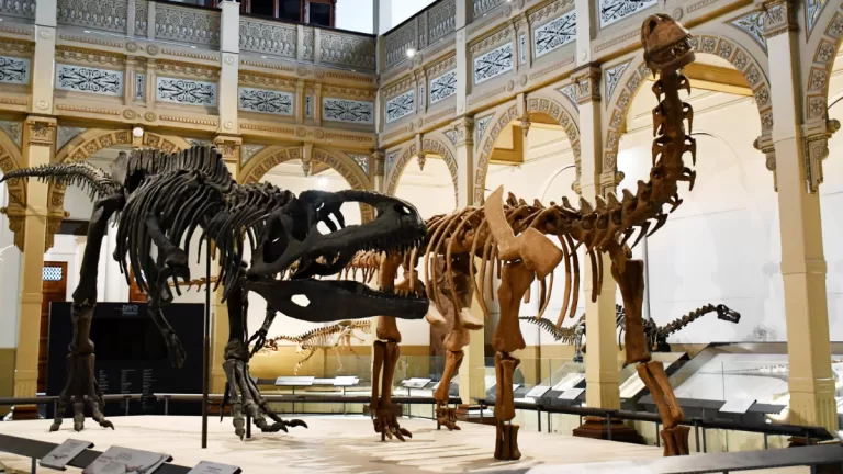 Dinosaurios al sur del mundo