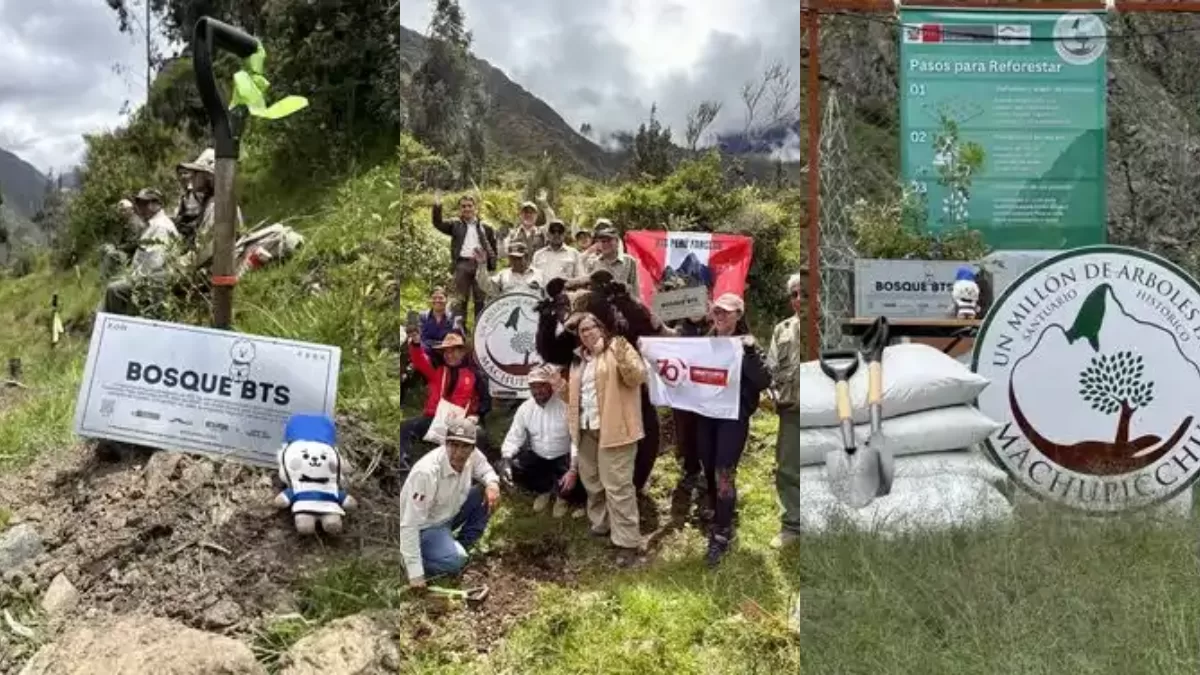 Fanáticos de BTS en la campaña "Un millón de árboles", La República