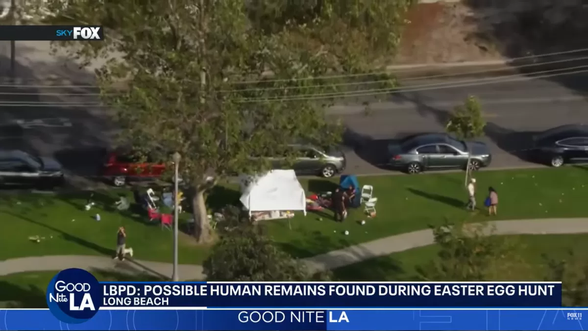 Noticieros que reportaron el hallazgo, Fox