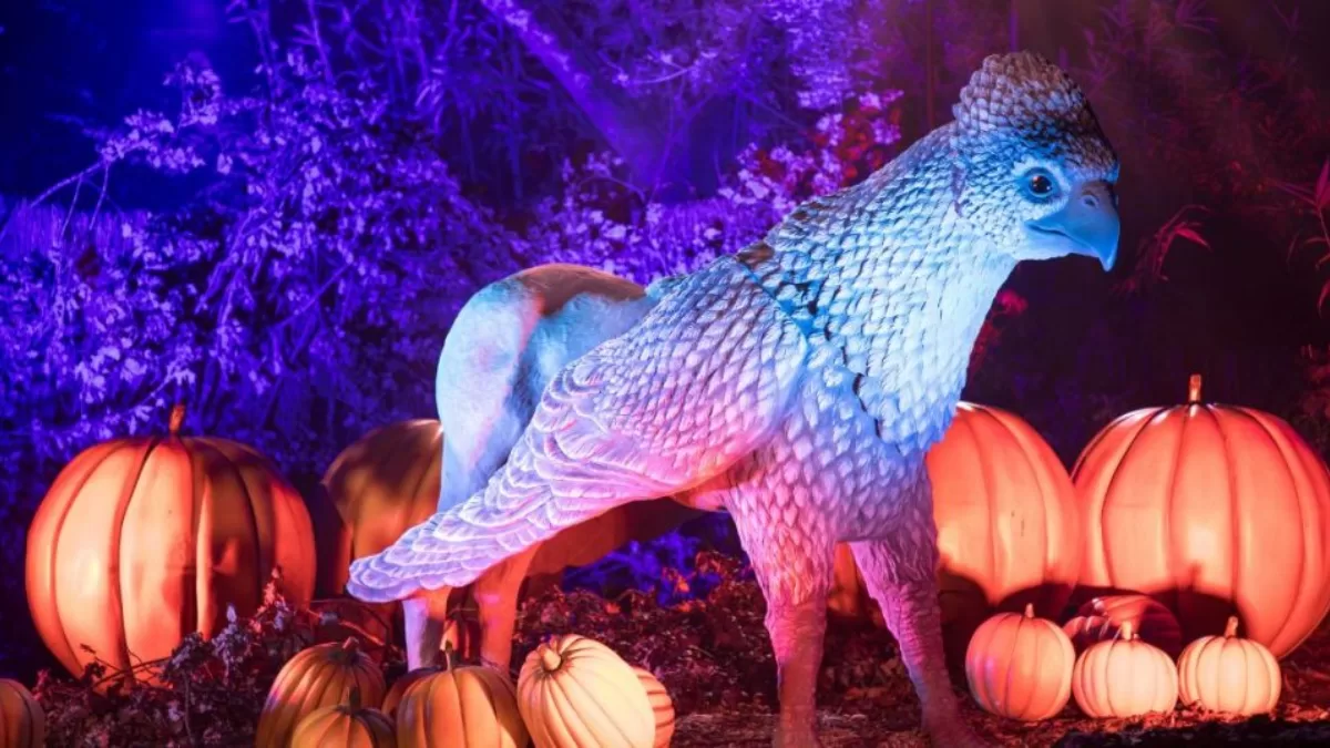 "Harry Potter: la experiencia del Bosque Prohibido", Fever