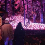 Harry Potter, El Bosque Prohibido