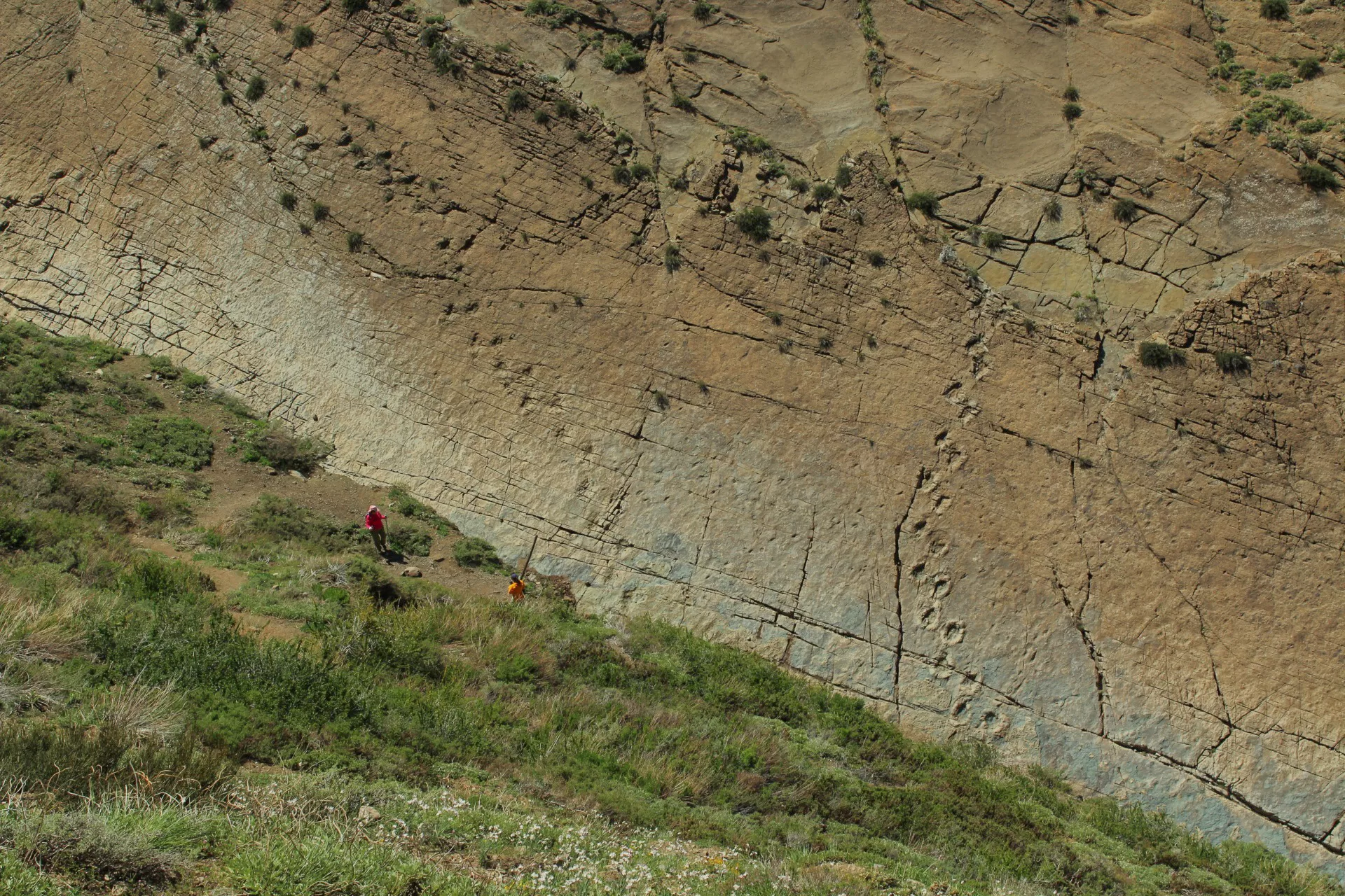 Huellas de dinosaurio Termas del Flaco