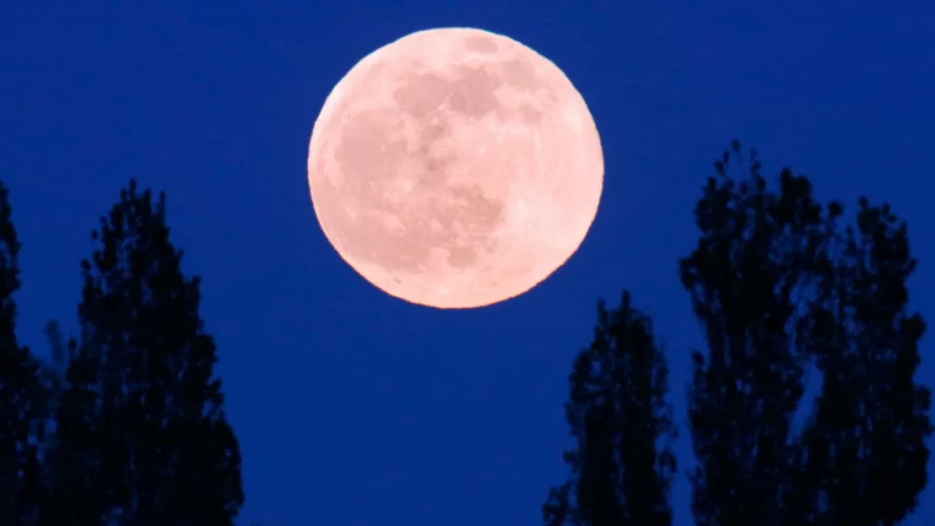 Luna Rosa GettyImages-1391924945 web