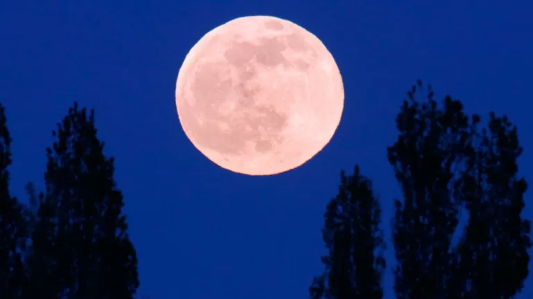 Luna Rosa GettyImages-1391924945 web
