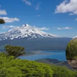 Chile Parque Conguillío