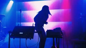 Javiera Mena web