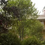 Museo Histórico Domínico Santiago