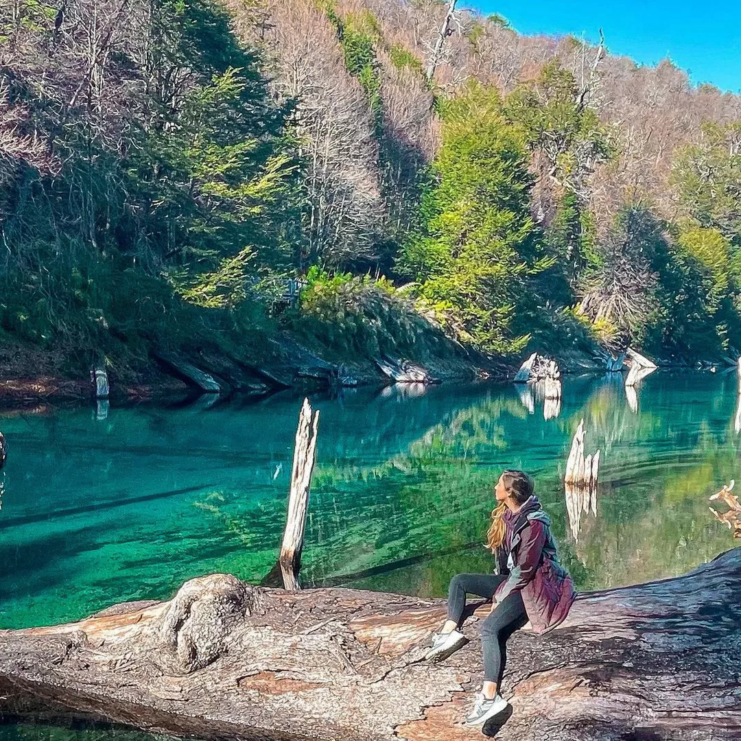 Parque Nacional Conguillío laguna