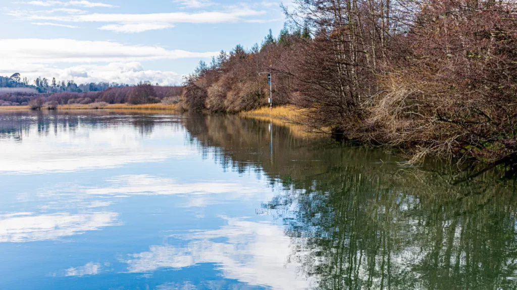 Valdivia Santuario de La Naturaleza Carlos Anwandter