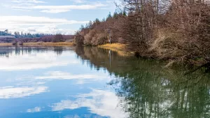Valdivia Santuario de La Naturaleza Carlos Anwandter
