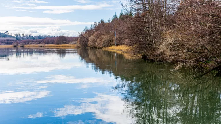 Valdivia Santuario de La Naturaleza Carlos Anwandter