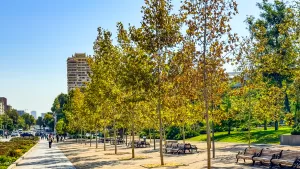 parques