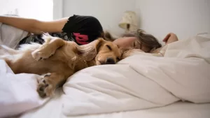 Dormir con mascota psicología