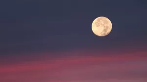 Luna de Fresa Chile 2026