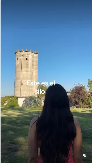 Javiera Mena Instagram