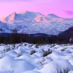 nieve