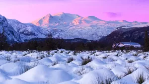 nieve