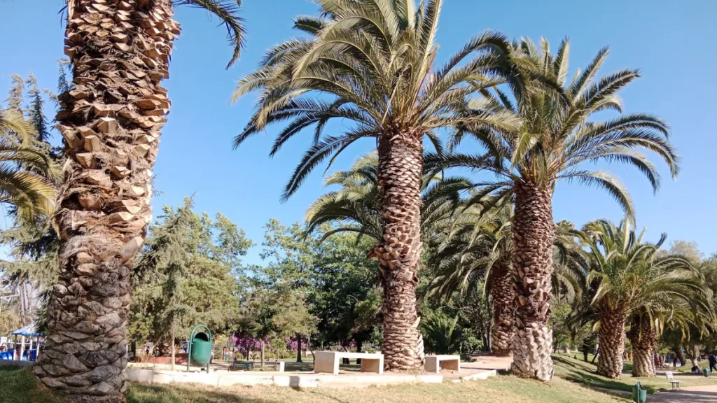 parque