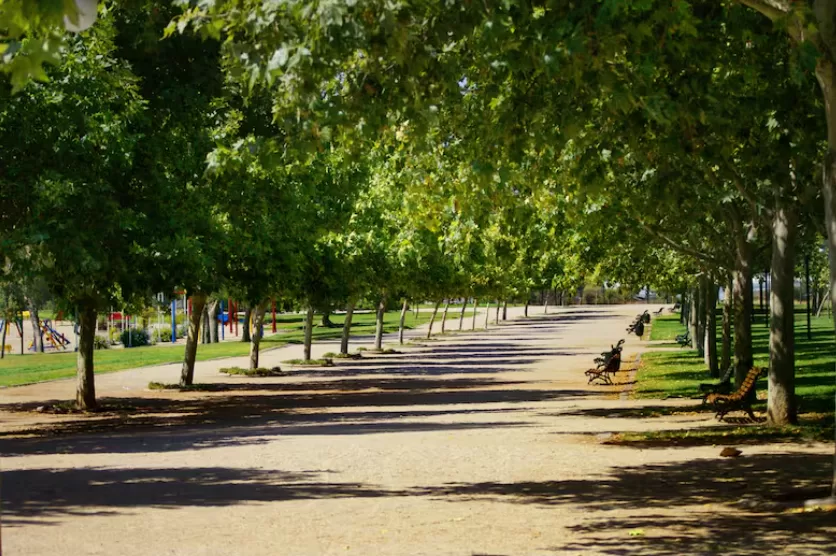 parque 
