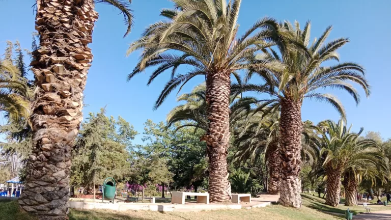 parque