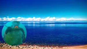 Issyk Kul