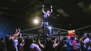 Pro Wrestling Series web