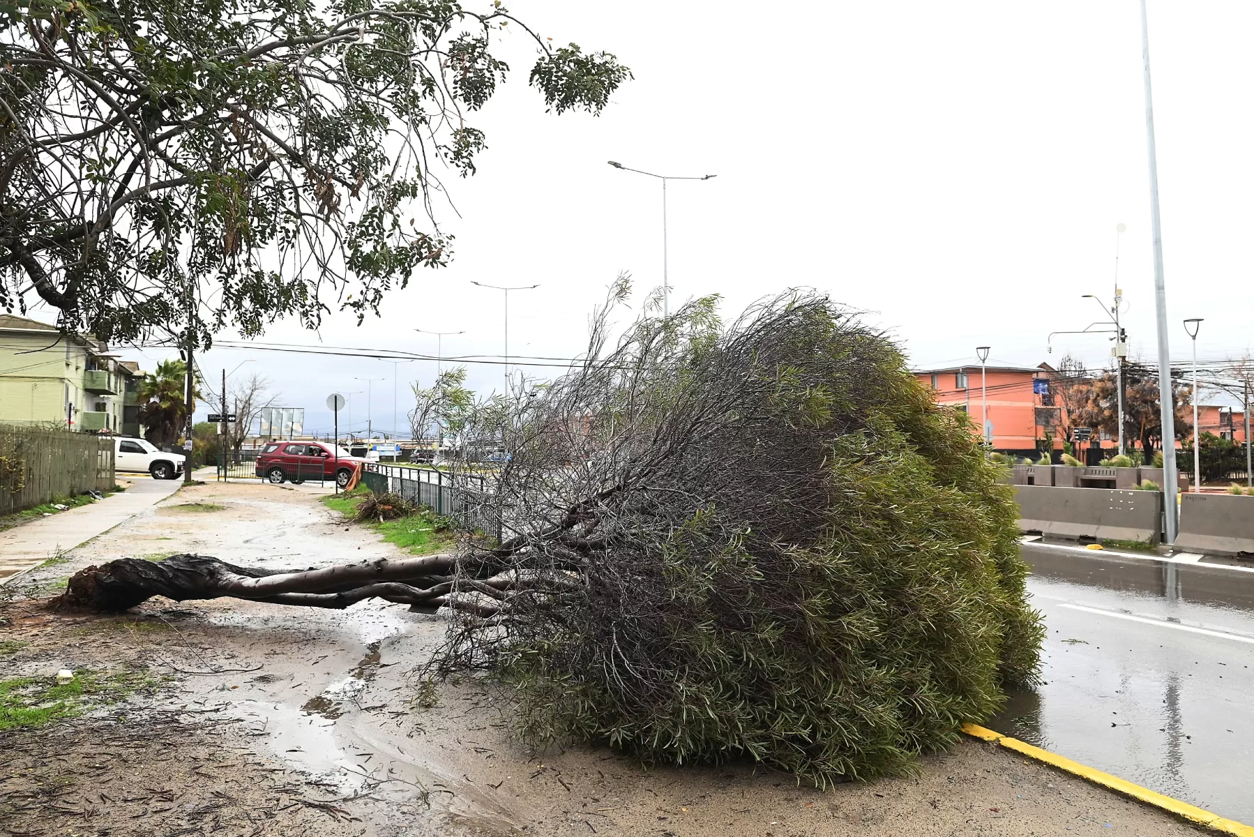 Quilpué temporal A_UNO_1754258 (1)
