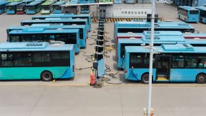 buses