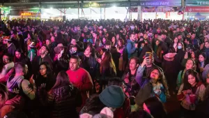 Fiestas Patrias