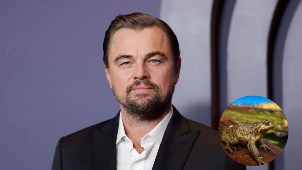 Leonardo DiCaprio