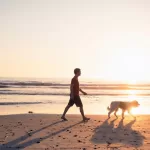 Pasear perro