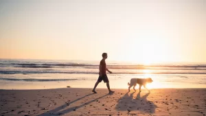 Pasear perro