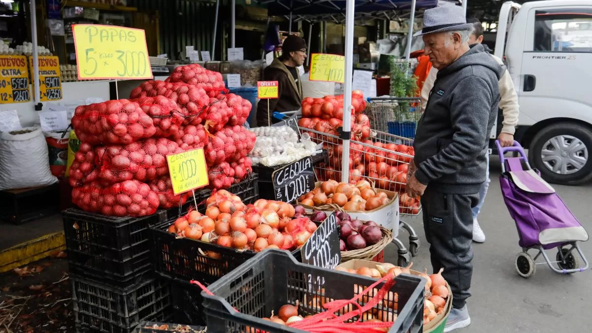 Precio Verduras La Vega