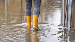 Lluvias