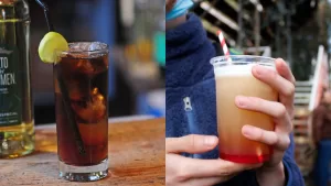 Piscola y Terremoto