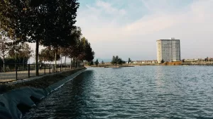 parque