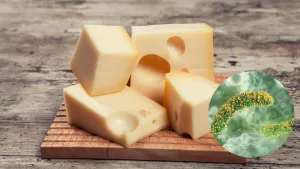 queso mantecoso Listeria