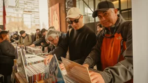 vinilo