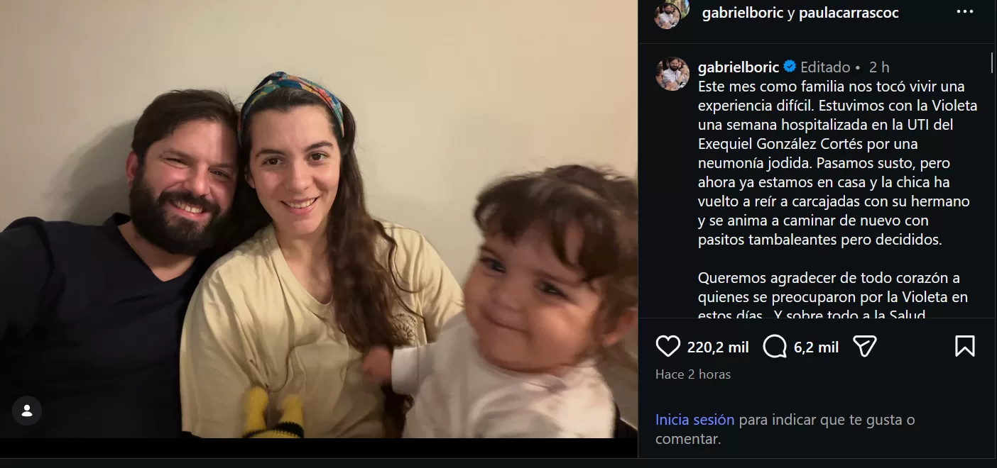 Gabriel Boric hija violeta