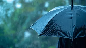 Lluvias