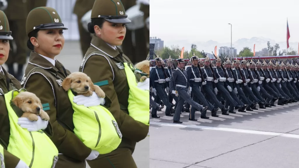 Parada Militar perritos